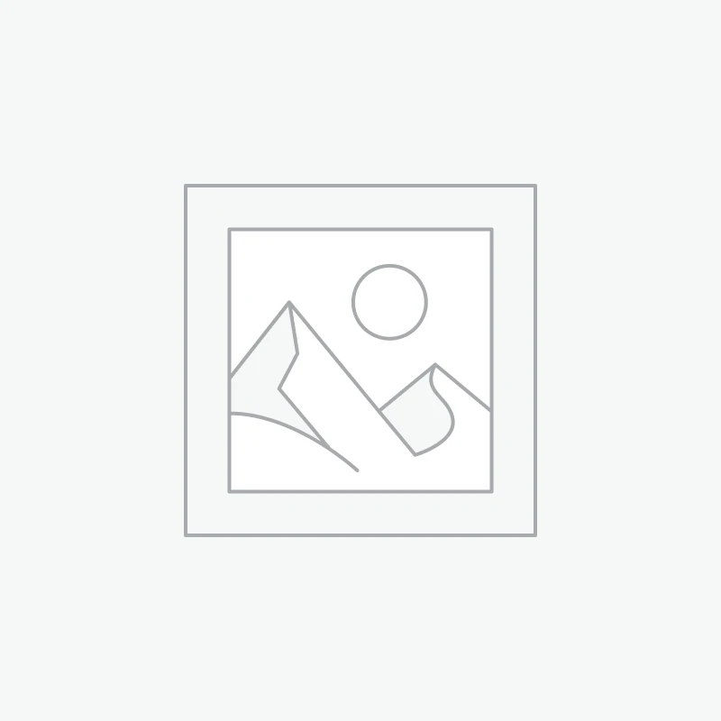 FEDERAL 300 WSM 165GR BARNES