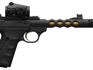 BRN BM PLS VIS BLK/GLD 22LR 10