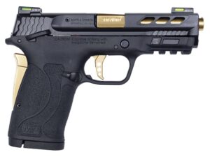 S&W MP2 SHDEZPC 380 GLD PRT
