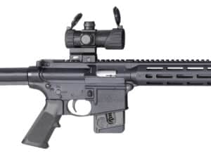 S&W MP1522 22LR 16B 10R OR