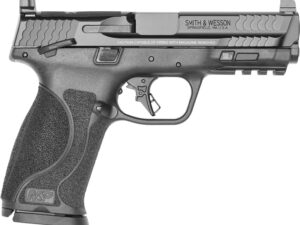 S&W MP2 9MM 4.25 17 FS TS FT