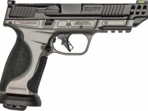 S&W MP2 9MM METL 5B/GY 10R CMP