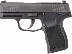 SIG P365 NIT PST 380 10R NS MS