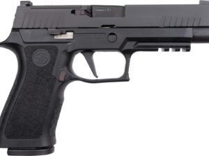 SIG P320XF NIT 9MM 17R NS