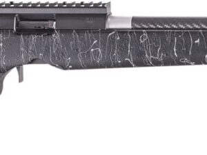 CHA RANGER BA 22LR 18B BLK