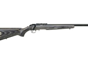 RUG AM RFL RF TGT 22LR 10RD