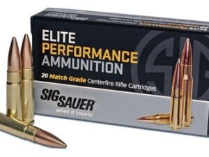 SIG 300 AAC 220GR OT MATCH