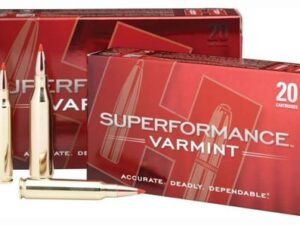 HORNADY SPF VARMINT 243 WIN