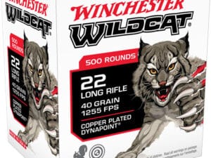 WINCHESTER WILDCAT 22LR 40GR