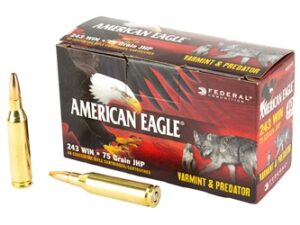 FED AM EAGLE V&P 243WIN 75GR 40/200