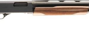 WINCHESTER SXP FIELD COMPACT