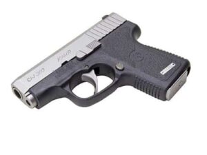 CW380 .380 ACP 2.5' Black/STS w/6rd Mag Front Night Sights