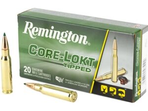 REM 308 WIN 180GR CLOK TIPPED 20/200