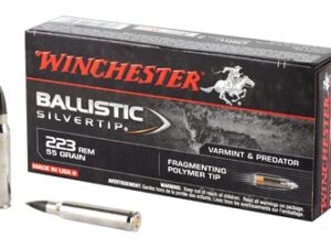 WIN BLSTC TIP 223REM 55GR 20/200