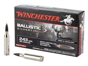WIN BLSTC TIP 243WIN 95GR 20/200