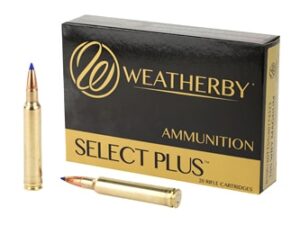 WBY AMMO 300WBY 180GR TTSX 20/200