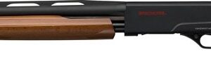 WINCHESTER SXP YOUTH 12GA 3"