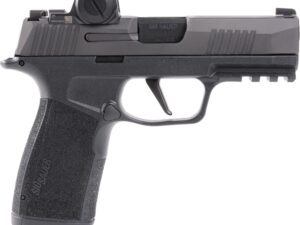 SIG P365XMAC RXX 9MM 17R XRAY