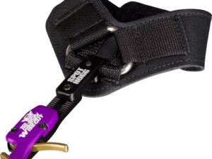 SPOT HOGG RELEASE WISE GUY