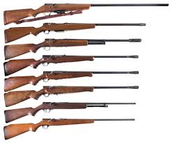 Bolt Action Shotguns