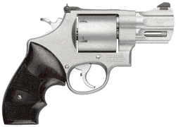 S&W 629 PERFORMANCE CENTER
