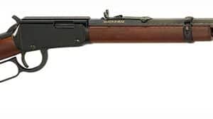 HENRY FRONTIER .17HMR