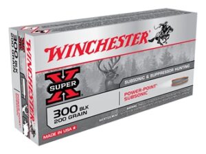 WIN PWR PNT 300BLK 200GR SS 20/200