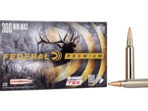 FED PRM 300WIN 180GR BRNS TSX 20/200