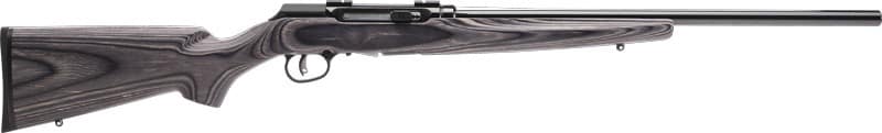 SAVAGE A17 .17HMR HVY BBL 22"