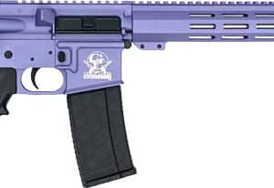 GLFA AR-15 Rifle .223 Wylde 30rd Magazine 16" Stainless Steel Barrel Wild Orchid Frame