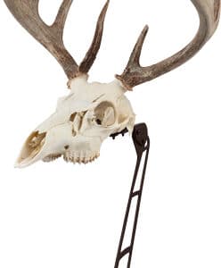 ALLEN EZ MOUNT CENTERPIECE
