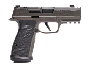 Sig Sauer P365 AXG Legion Handgun 9mm Luger 10rd Magazines (3) 3.1" Barrel Legion Grey Xray3 Night Sights
