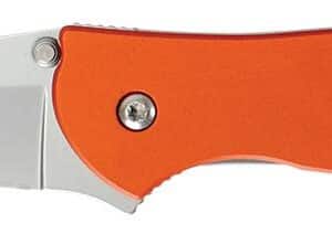 LEEK ORANGE