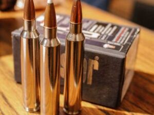 300 Rem Ultra Magnum