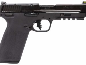 S&W MP 22M PST 4.3 10RD OR TS