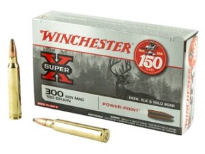 WIN SPRX PWR PNT 300WIN 180GR 20/200