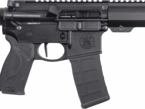 S&W MP15 PST 223 7.5B 30RD