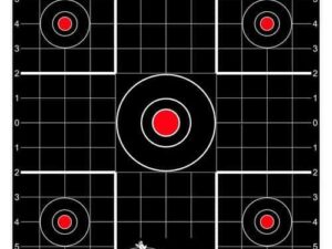 Birchwood Casey Dirty Bird 12" Sight-In Targets 100/ct