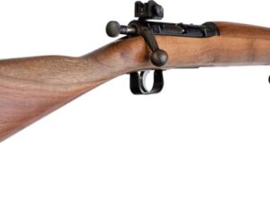 CRICKETT RIFLE YOUTH MINI - SPRINGFIELD 1903 22LR