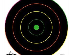 Birchwood Casey Dirty Bird 12" Multicolor Bull's-Eye Target 100/ct