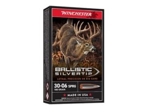 WIN BLSTC TIP 3006SP 180GR 20/200