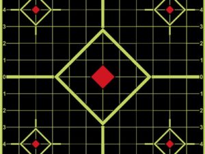 17.75" SQUARE SPLATTERSHOT SIGHT N TARGET 5/PK