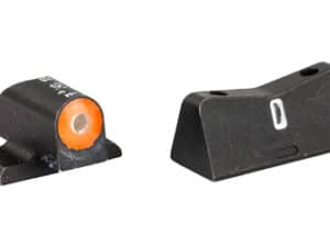 XS DXT2 BIG DOT SIG P226/P320/XD ORG