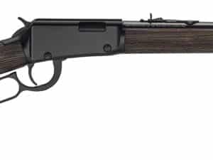 HEN GARDEN LVR SHTGN 22LR 15R