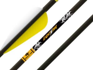 GOLD TIP ARROW LIGHTNING YOUTH - 2.5" VANE TEC GLUED-IN PNT 3PK