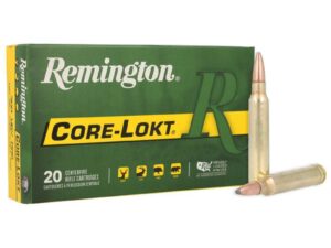 Remington Core-Lokt Rifle Ammunition .300 Win Mag 180 gr PSP 2960 fps 20/ct