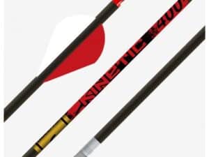Gold Tip Kinetic 340 2in Raptor Vanes - 1/2dz