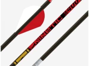 Gold Tip Kinetic 500 2in Raptor Vanes - 1/2dz