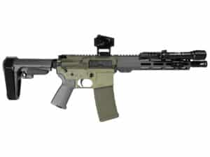 Shark Coast Bugbear AR Pistol Bundle 5.56mm 30rd Magazine 10.5'' Threaded Barrel Vortex Crossfire Red Dot Streamlight ProTac SBA3 Brace