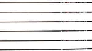 CARBON EXPRESS ARROW PREDATOR - AIR 300 2" Q2i VANES 6PK